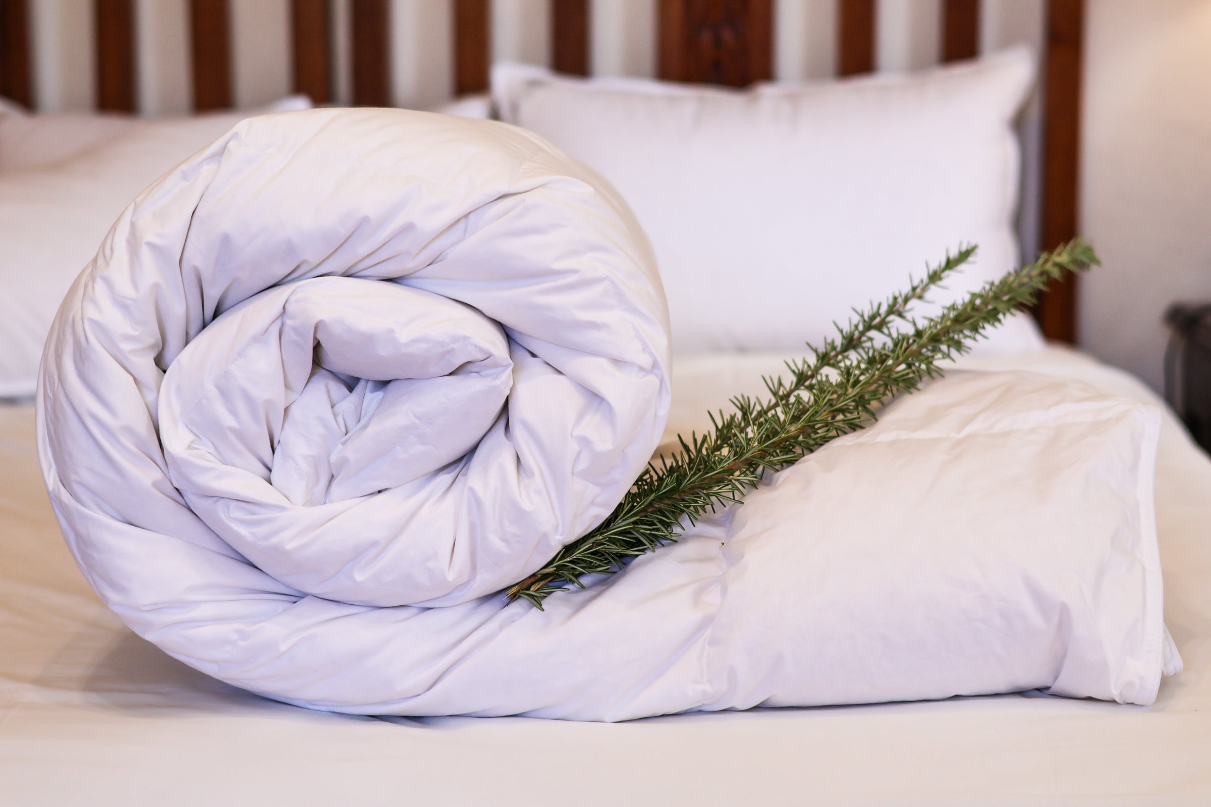 Autumn: Feathermix Goosedown Duvet Inners