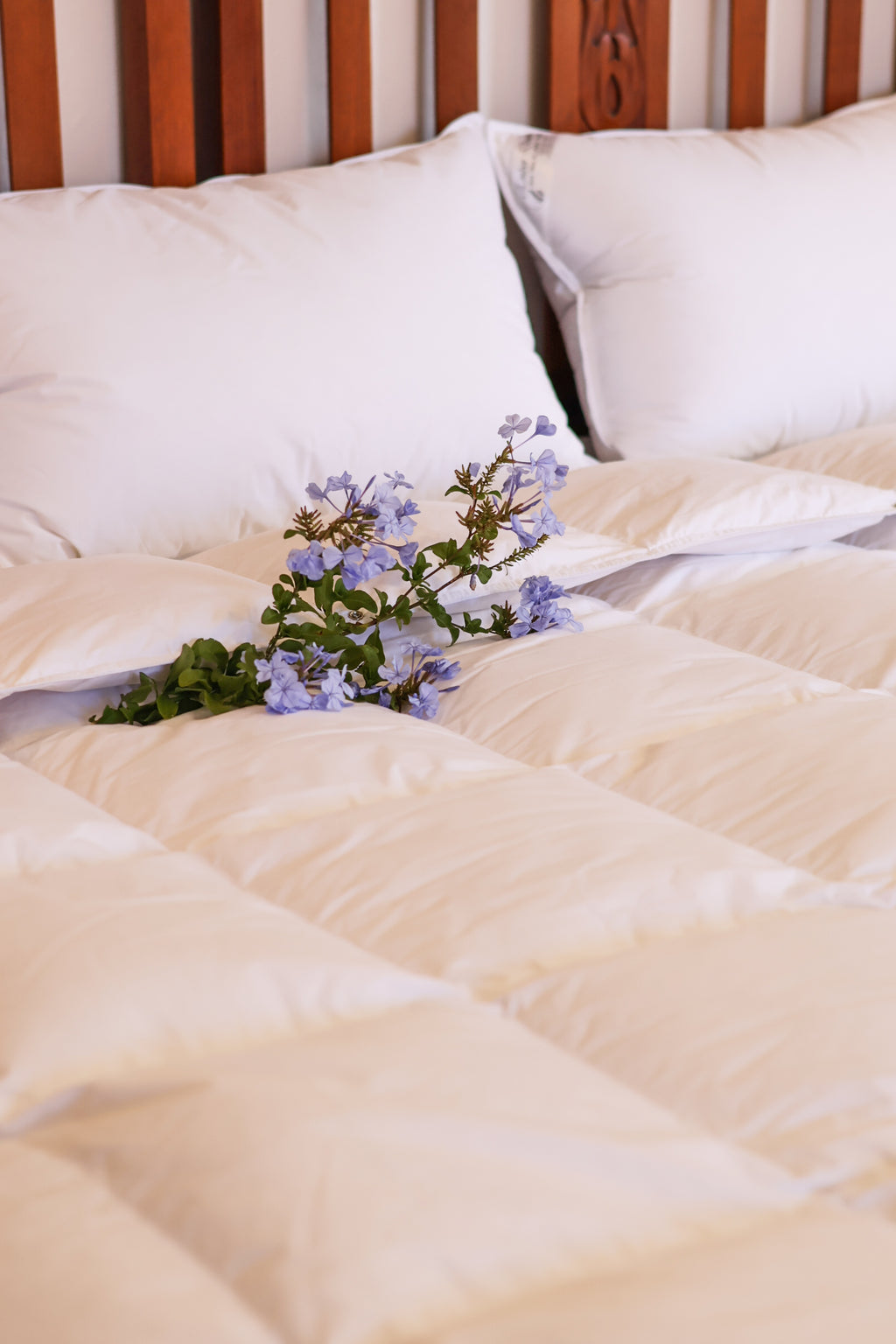 Summer: Pure Goosedown Duvet Inners