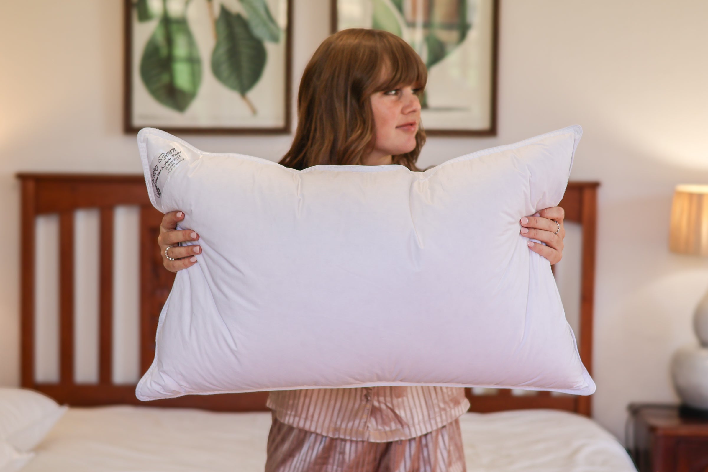 Pillow : Pure Goosedown