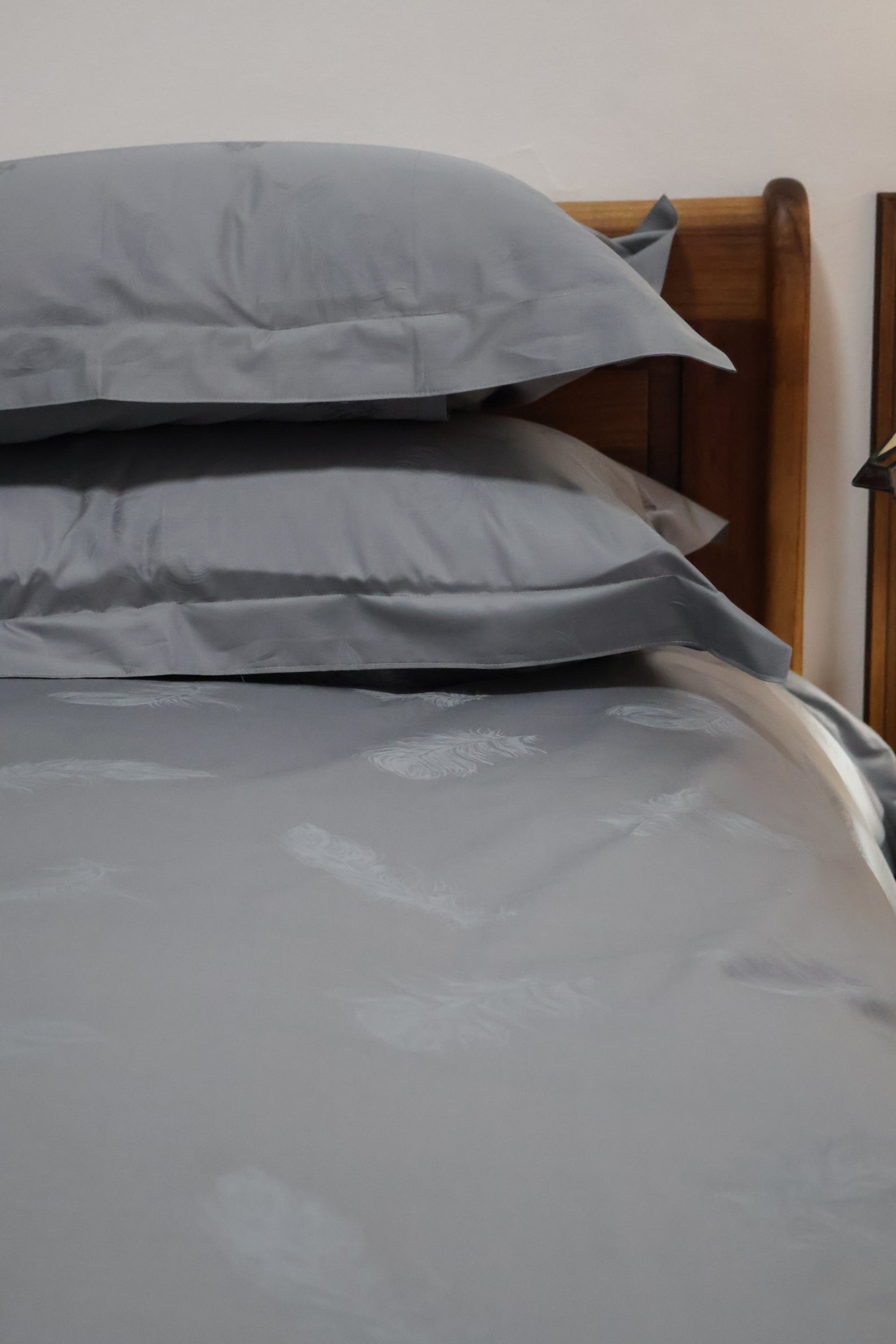 Pillow Case 600TC (Set of 2)